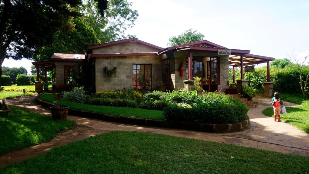 woodland star international school